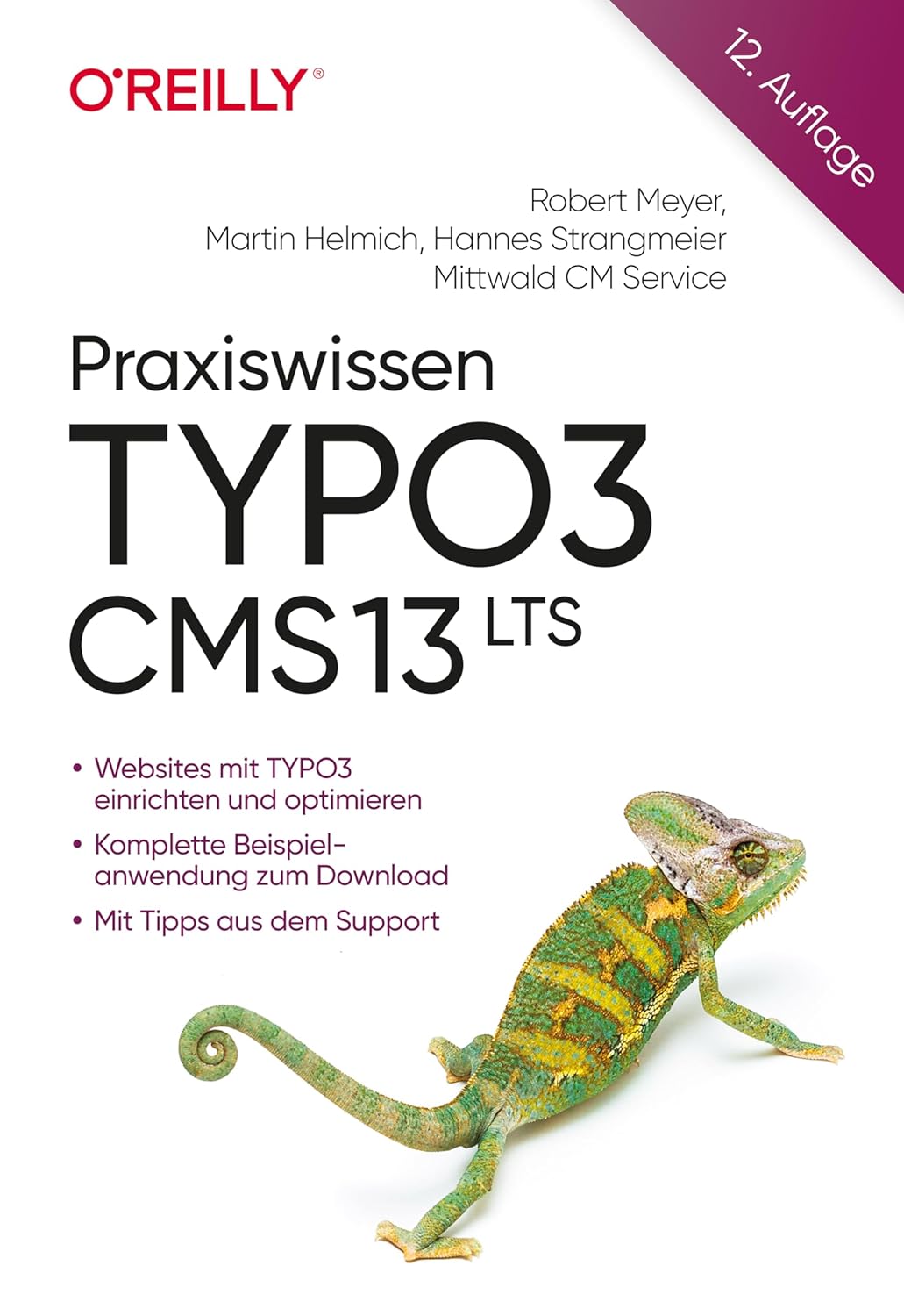 Praxiswissen TYPO3 CMS 13 LTS Praxiswissen TYPO3 CMS 13 LTS